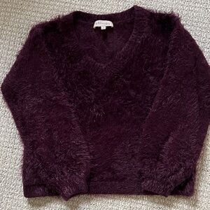 Philosophy Women's Deep Purple V-Neck Sweater